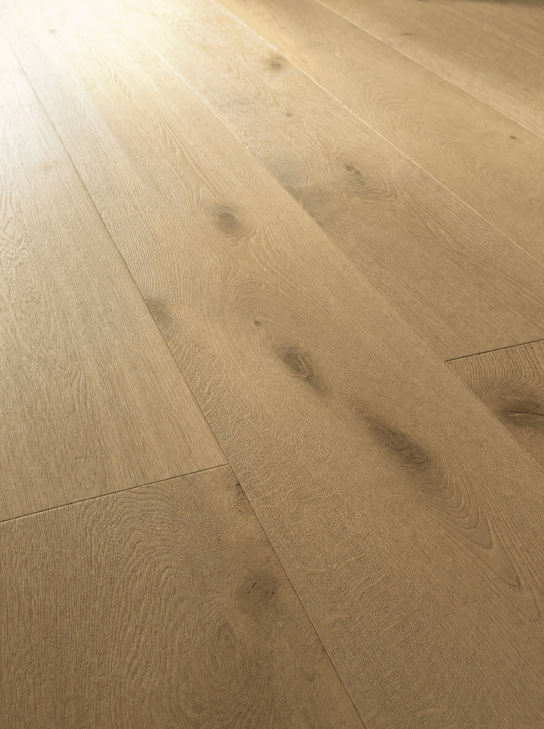 Close-up macro of wire-brushed wide-plank European white oak showing long open-pore cathedrals in warm afternoon raking light