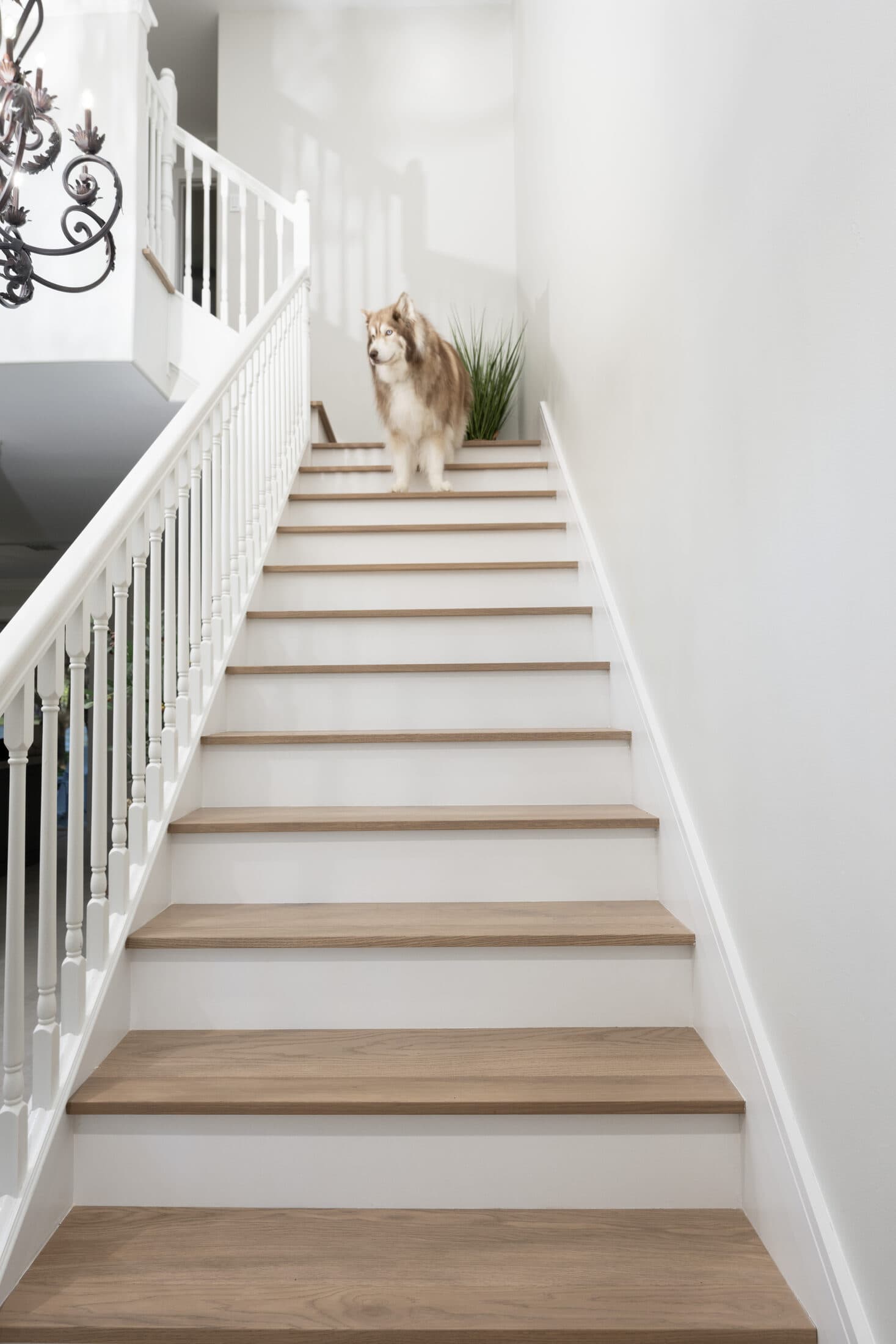 Staircase detail